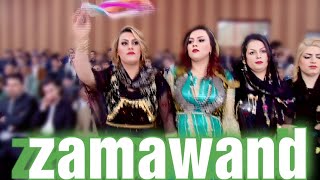 farshad amini best kurdish wedding dance 2023 [upl. by Kassandra549]