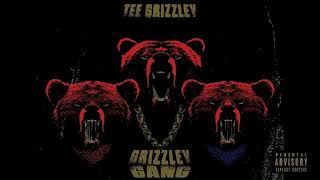 Tee Grizzley  Grizzley Gang Official [upl. by Nazler]