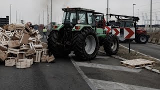 Nach EUGipfel Belgische und niederländische Bauern protestieren weiter [upl. by Shaylah]