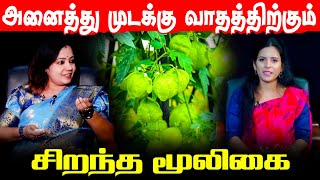 அனைத்து முடக்கு வாதத்திற்கும் சிறந்த முலிகை  Akathiyam  Maithily [upl. by Wiltz]