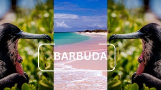 BARBUDA  A Day In Paradise [upl. by Douville]