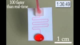 Paper Microfluidic Device running for 3h [upl. by Eward]