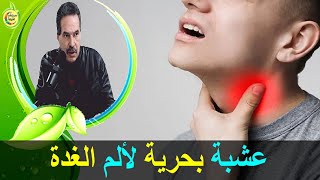 عشبة بحرية معجزة تعالج آلام الغدة الدرقية  الدكتور جمال الصقلي [upl. by Allesor]