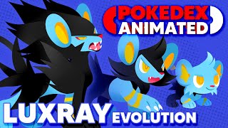 Pokedex Animated  Luxray Evolution [upl. by Oalsinatse]