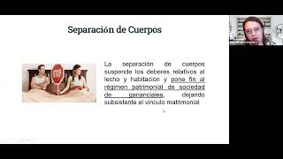 Análisis jurisprudencial sobre las causales del divorcio y liquidación de la sociedad de gananciales [upl. by Yorled806]