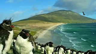 National Anthem of Falkland Islands United Kingdom  Song of The Falkland [upl. by Aikcin]