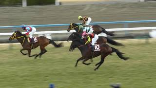 クリンチャー重賞初勝利。GⅠ馬4頭蹴散らす【2018年京都記念】 [upl. by Arraes]