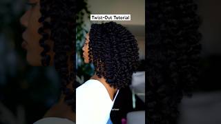 Tutorial for an EXTRA DEFINED Twistout on Natural Hair✨ twistout naturalhair becurly aveda [upl. by Paddy771]