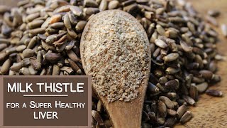 Milk Thistle Benefits for a Super Healthy Liver [upl. by Mcwilliams991]