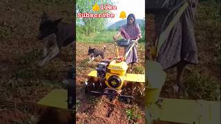 Power Tiller driven by a Lady  farm life plzsubscribemychannel shorts [upl. by Barabbas68]