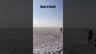 Rann of KutchRannofKutch kutch gujrat rannofkutch travelvlog [upl. by Oremo]