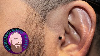 The Whole Truth  Tragus Piercing [upl. by Beberg]