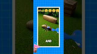 ants termites insects highlights [upl. by Merce]