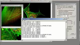 3D Colocalization in ImagePro Plus [upl. by Petrick]