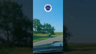 Cruising wichitakansas automobile motorcycle dashcam [upl. by Alda]