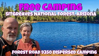 Free Camping Payson Arizona  Sitgreaves National Forest  FR 9350 Dispersed Camping Review [upl. by Suiram]