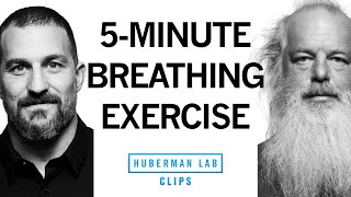 5Minute Breathing Exercise  Meditation for Improving HRV  Rick Rubin amp Dr Andrew Huberman [upl. by Oribel599]