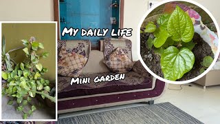 Daily vlog  Mera Mini Garden  Aisa Video Shoot Maine Pehli Bar Kiya dailyvlog vlog [upl. by Brader]