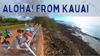 Snorkeling Blowholes amp Hawaiian Style Hot Dogs on Kauai [upl. by Sylas]