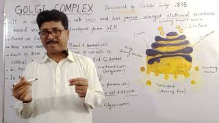 Biology XI  Golgi complex  Golgi body foryou viralvideo biology [upl. by Zeena]