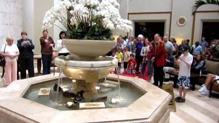 March of the Peabody Ducks [upl. by Sul271]