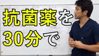 【抗菌薬】ペニシリン系・セフェム系を30分で解説 20212公開 [upl. by Belding325]