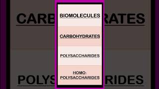 Carbohydrates Biomolecules Biochemistry shorts  Monosaccharides Disaccharides Polysaccharides [upl. by Aiekam460]