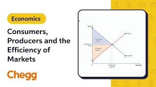 Consumers Producers and the Efficiency of Markets  Macroeconomics [upl. by Eadwina]