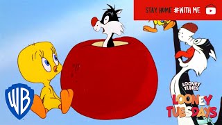 Looney Tuesdays  Iconic Duo Tweety and Sylvester  Looney Tunes  WB Kids [upl. by Thurber]