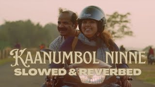 Kaanumbol Ninne slowed  reverb [upl. by Claudell]