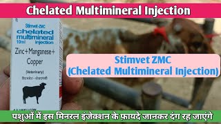 Chelated Multimineral ZinkManganeseCopper Stimvet ZMC इंजेक्शन का पशुओ में उपयोग कैसे करें [upl. by Caressa]