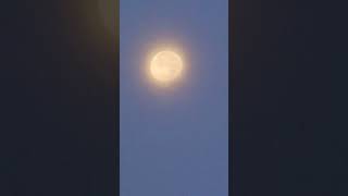 The Moons Disc Illuminated by the Suns Rays on Septembre 212024 shortvideo lunarphases [upl. by Amato136]