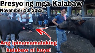 UPDATED  Presyo ng Kalabaw sa Padre Garcia Batangas The Cattle Trading Capital of the Philippines [upl. by Neffirg]