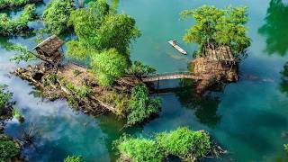 100 Days Build A Bamboo Tree House With A Grass Roof And A Swimming Pool On A Long River [upl. by Riba]