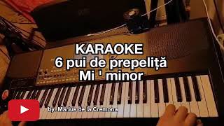 6 pui de prepeliță  KARAOKE  Mi  min [upl. by Aikat]