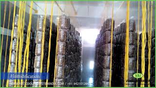 Mushroom Farm HumidificationMistcooling System India [upl. by Russi96]