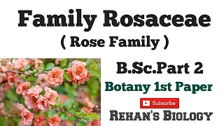 Family Rosaceae Rehans Biology Botany BSc Part 2 paper 1st Rose family [upl. by Orgel]