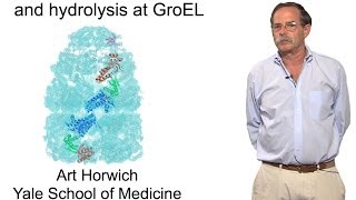 Arthur Horwich YaleHHMI Part 2 The role of ATP binding and hydrolysis at GroEL [upl. by Llejk]