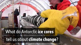 What Antarctic ice cores tell us about climate change  Natural History Museum [upl. by Frederic]