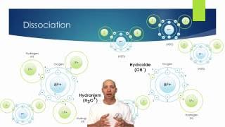 Introduction To Water I  Ions pH and Alkalinity [upl. by Estis]