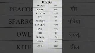 Birds name in hindi to English speakenglish birds viralshorts [upl. by Arutek827]