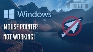 Mouse Pointer Disappears  Not Working in Windows 1087  3 Solutions [upl. by Nele]