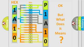 DTC Ford P1A10 Short Explanation [upl. by Akim]