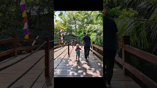 Wisata ke faunaland ancol part 3 AncolTV burung ancol ancoljakarta anak FAUNALANDANCOL [upl. by Aihsetan]