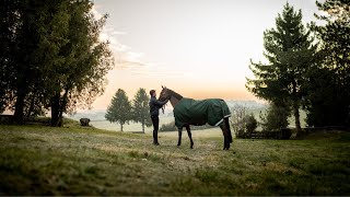 Steve Guerdat a True Horseman Through It All [upl. by Esinrahc]