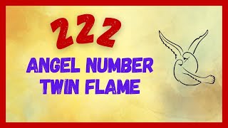 222 Angel Number Twin Flame 🔥 Whats The Deep Meaning [upl. by Caylor]