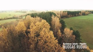 Kazimieras Jakutis  Nuogas Ruduo [upl. by Neibart]