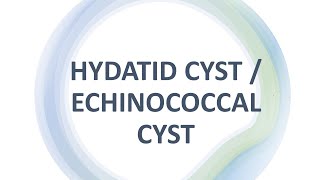 Hydatid cyst ll Echinococcal Cyst [upl. by Cherlyn]