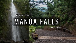 Visiting Manoa Falls Seeing it for the first time after trail renovations 2021 and what to expect [upl. by Rame171]