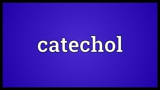 Catechol Meaning [upl. by Schuster]